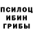 Псилоцибиновые грибы Magic Shrooms Bharath B