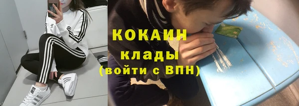 индика Алексин