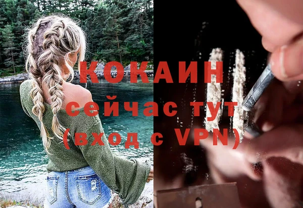 apvp Осташков