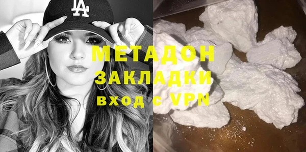 индика Алексин