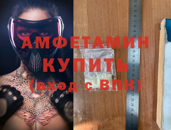 индика Алексин
