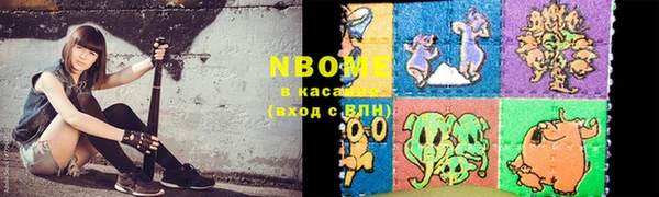 индика Алексин