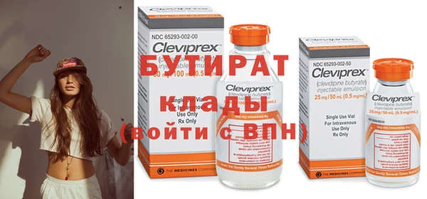 индика Алексин