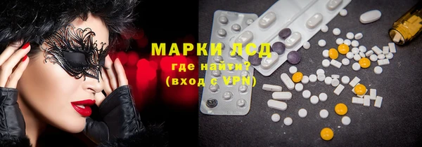 индика Алексин