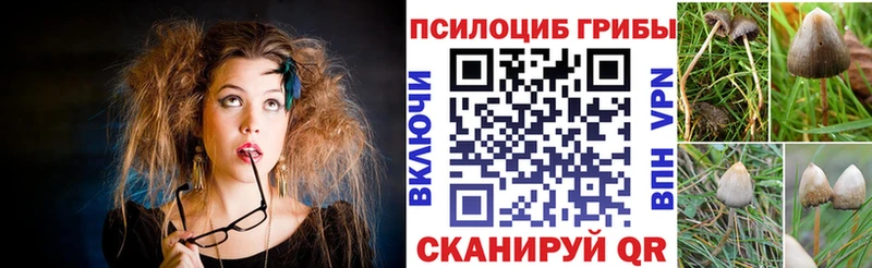 купить наркоту Мыски Галлюциногенные грибы прущие грибы